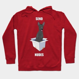 Send Nudes! Hoodie